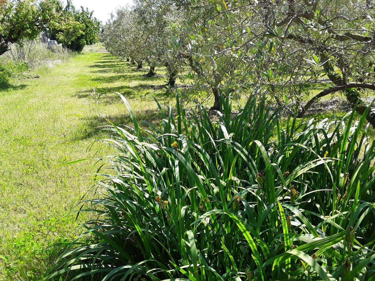 הוילה Travaillan La Bonbonne En Provence מראה חיצוני תמונה
