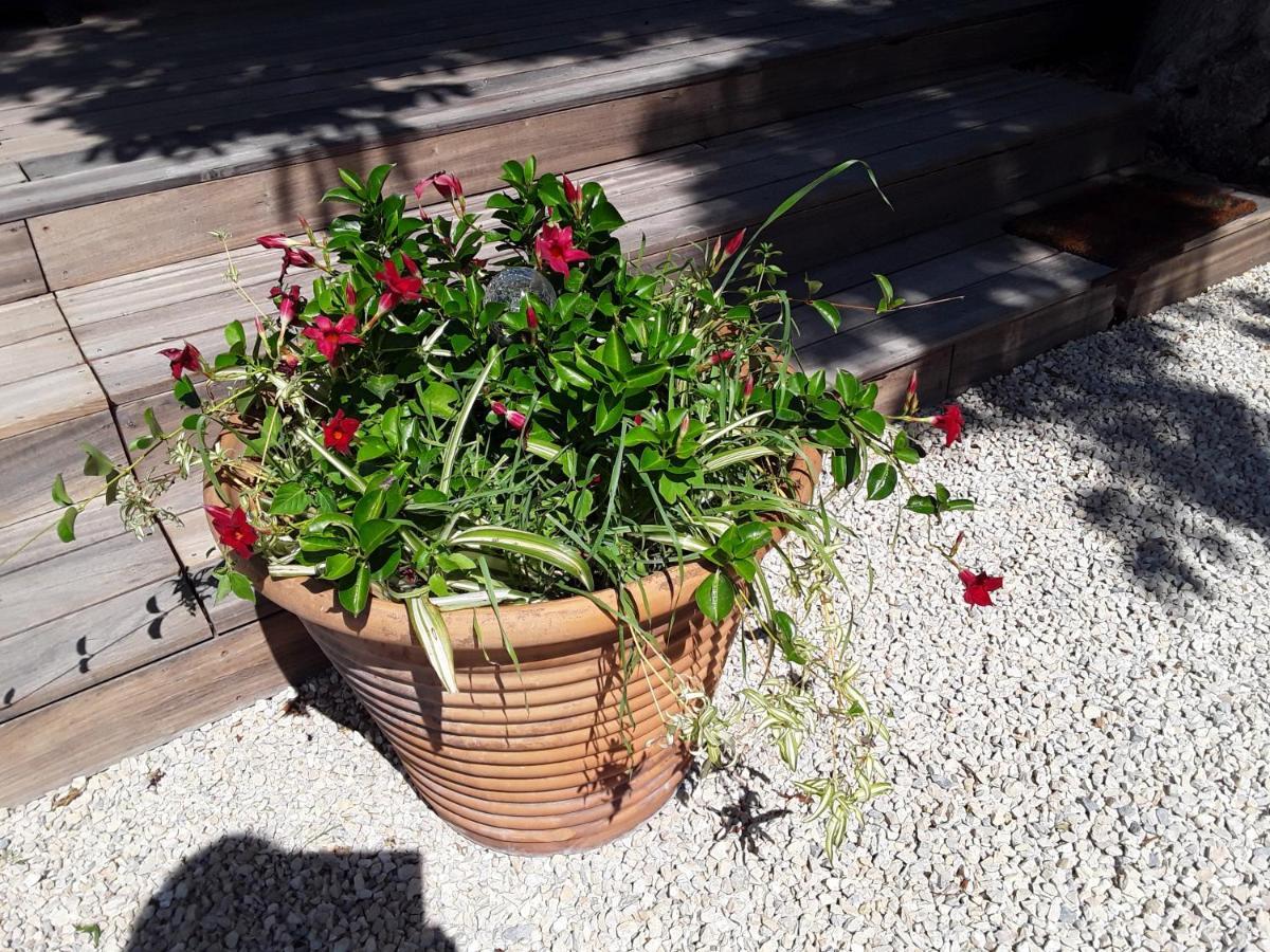 הוילה Travaillan La Bonbonne En Provence מראה חיצוני תמונה